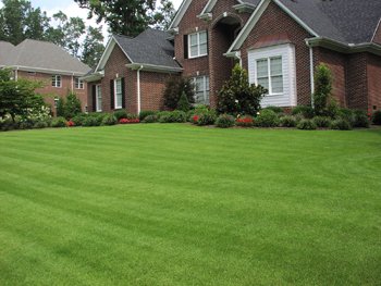 Lawn Care in Suwanee