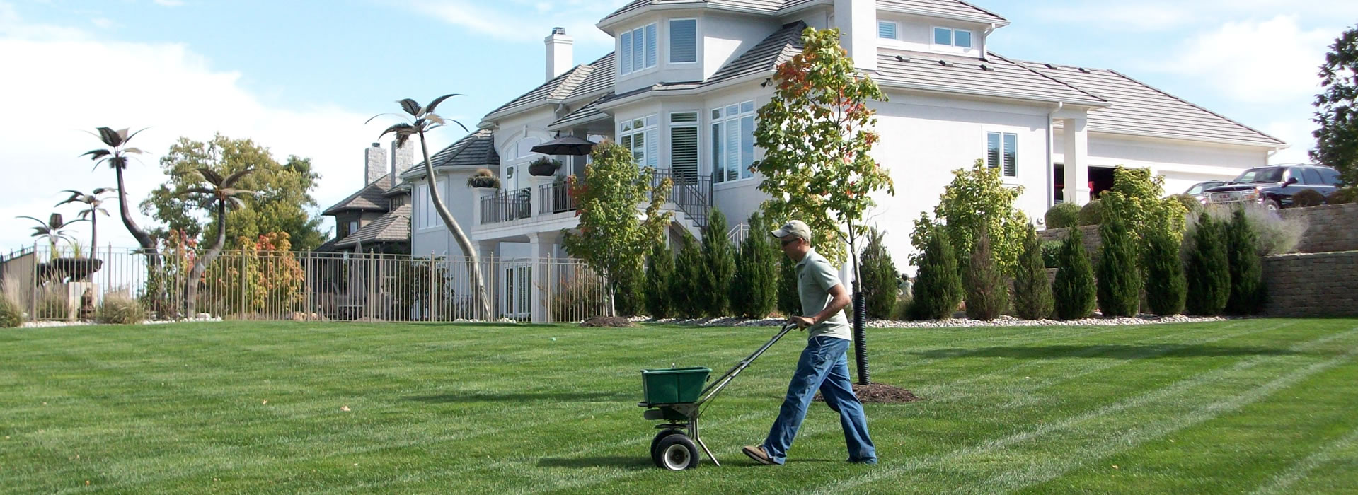 Lawn Fertilizing / Fertilizer