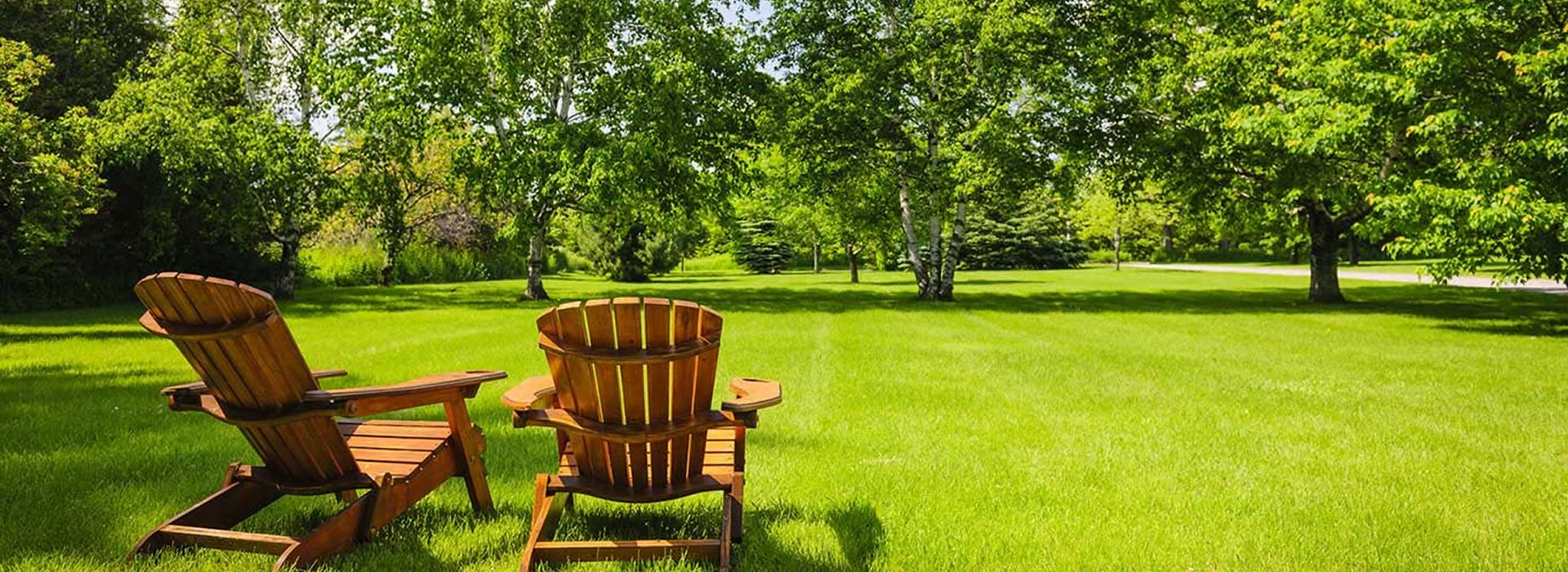 Bermuda Lawn Care