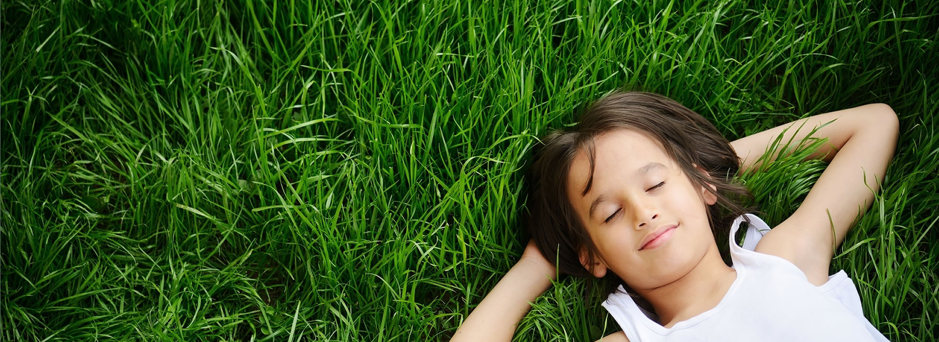 Fescue Lawn Care