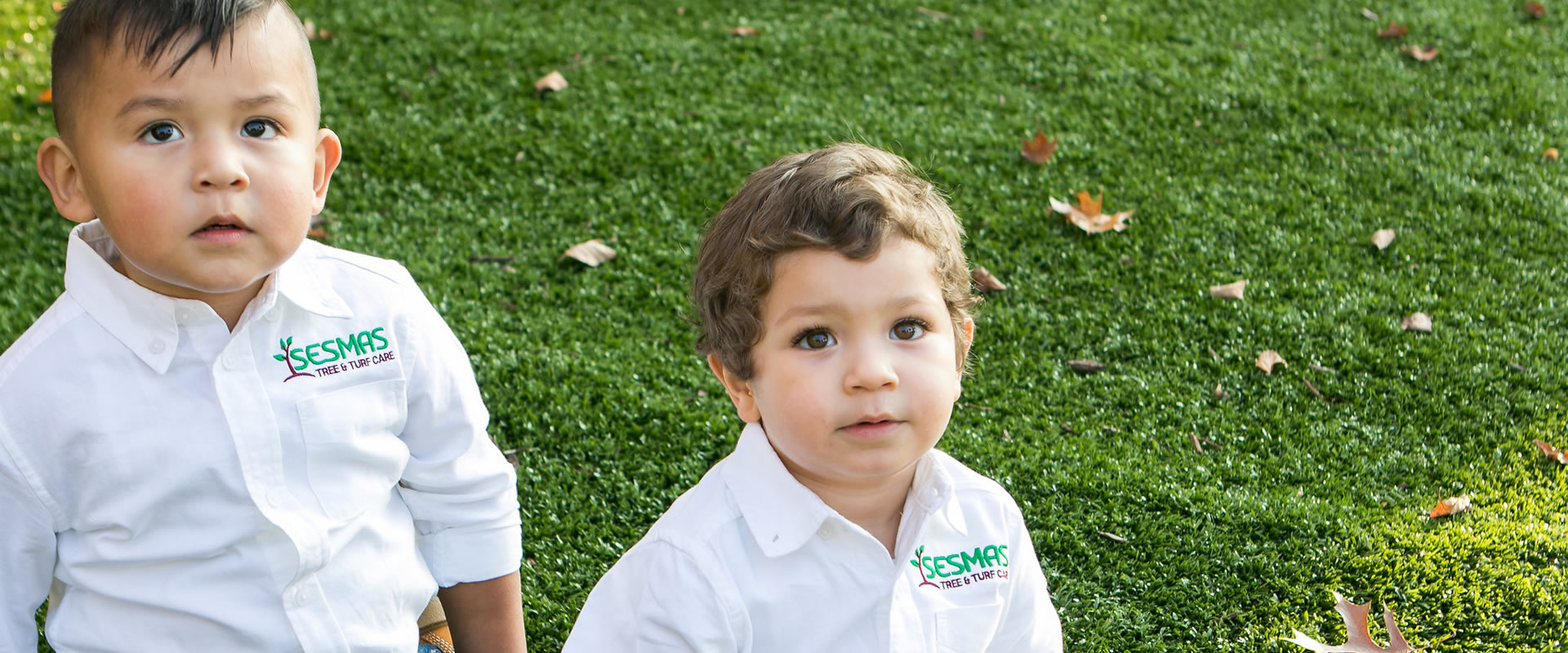 Lawn Aeration