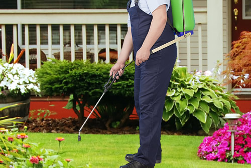 Perimeter Pest Control