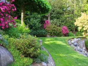 Bermuda Grass Care in Lawrenceville